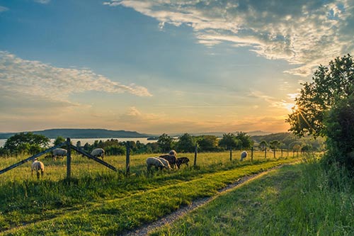 Rural Lending Information